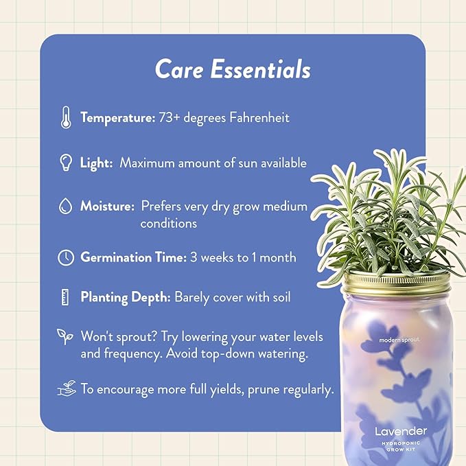 Modern Sprout Mason Garden Jar - Self-Watering Hydroponics Growing System Kit with Organic Herb Seeds - Jar Planter for Indoor Herb Garden - Seed Starter Kit - Home Decor & Gifting - Lavender