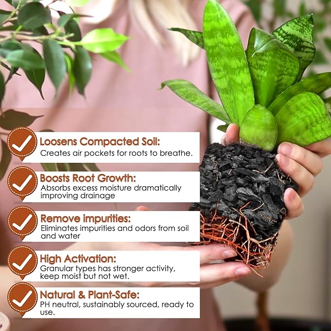 Horticultural Charcoal for Plants,2QT Premium Activated Charcoal for Indoor and Outdoor Plants,Ideal for Soil Amendment, Orchids,Succulent,Cactus, Terrariums & Gardening