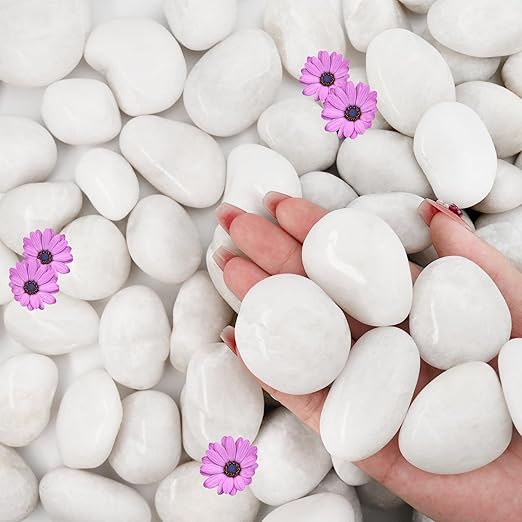 NUPICK 45lb White River Rocks for Outdoor Landscaping, 1-2 Inch Pebbles for Indoor Plants, Natural Polished Aquarium Gravel, Decorative Rocks for Succulent, Garden, Vases Fillers, Bird Baths