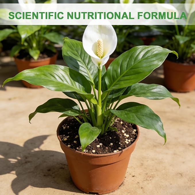 Premium Peace Lily Potting Soil 2qt– All Natural, Well-Draining & Breathable Soil for Peace Lily & Indoor Plants