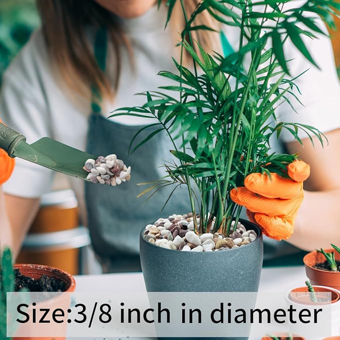 FANTIAN 2 lbs Natural Mixed Color Pea Gravel Pebbles, 3/8 inch Decorative Rocks for Succulents, Pebbles for Indoor Plants, Vases, Aquarium Gravel, Top Dressing, Outdoor Decorative Stones