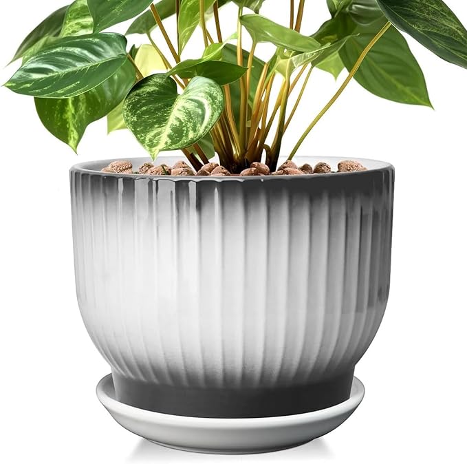 8 Inch Plant Pot, Ceramic Planter with Drainage and Saucer, Ceramic Pots for Plants, Indoor Plant pots,Ceramic Flower pots(Black + White, Plants NOT Included)