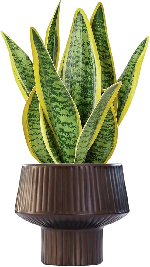 Wide Top Modern Handmade Metal Indoor Planter with Unique Shape, Vertical Grooved Design and Anti-Scratch Pads, Rust-Resistant Finish that is Sustainable Non-Plastic Pot Recyclable Metal Vase (Copper)