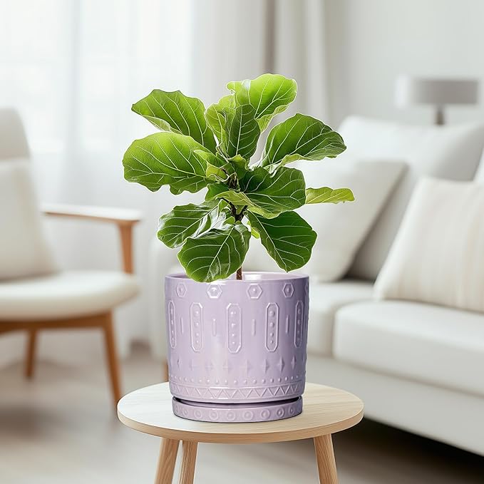 Eightpot Ceramic Flower Pots, 8 Inch Plant Pots Indoor Outdoor, Round Planter with Drainage Hole and Tray, Boho Planter, Decorative Pot for Plants, Apartment Decor, House Warming Gifts, Purple