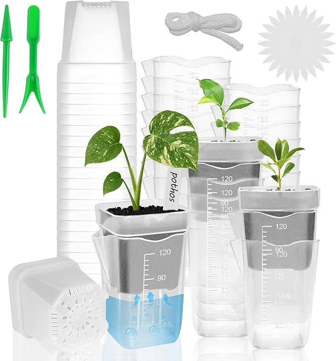 24 Pack 2" Small Self Watering Pots for Indoor Plants, Clear Plant Pots with Drainage & Water Level, Semi Hydroponic Pots for Propagation, African Violet, Cutting and Succulents