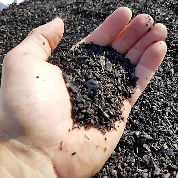 Char Bliss (4 Cubic Ft) - Organic Biochar for Plants - OMRI-Listed Biochar Soil Amendment Organic - Horticultural Charcoal for Plants, Gardening, & Potting Soil - 100% Natural and Renewable Bio Char