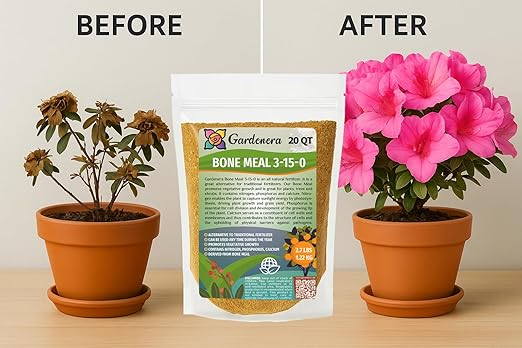 𝐁𝐄𝐒𝐓𝐒𝐄𝐋𝐋𝐄𝐑 Organic Bone Meal Fertilizer by Gardenera (4-12-0 NPK) All-Natural Plant Food Source of Nitrogen and Phosphorus for Bulbs, Gardens, Potted Plants, Trees, and Shrubs - 2 QUARTS