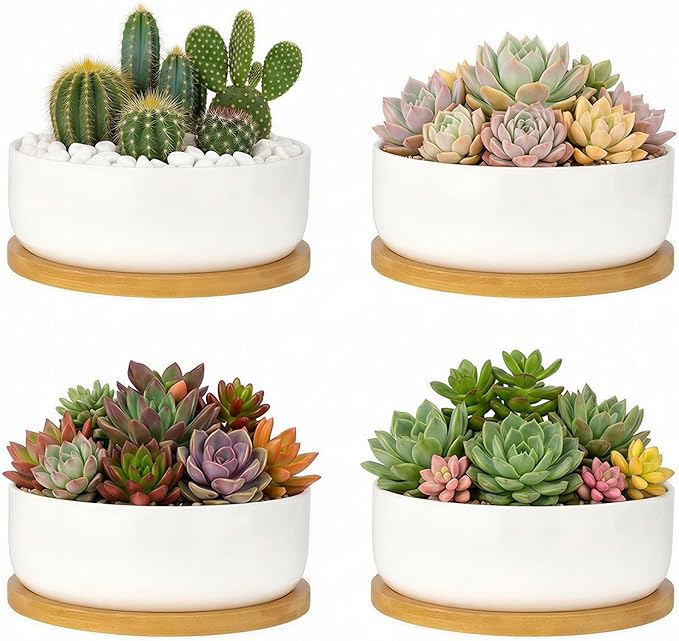 ZOUTOG Succulent Pots,6 Inch Succulent Planters with Drainage and Tray,White Ceramic Planters for Indoor Plants,Round Flower Plant Pots,Pack of 4