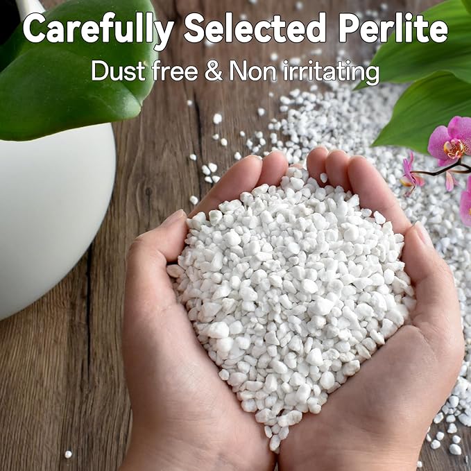 ZeeDix 3QT Organic Perlite Horticulture Soil Amendment for Plants, 3-9mm Granule Size Potted Plant Soil for Orchid Cactus Succulents Carnivorous Monstera Repotting, Indoor Outdoor Gardening