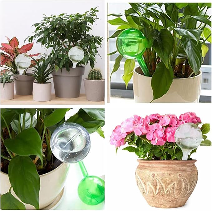 Plant Watering Globes, Self Watering Bulbs for Indoor & Outdoor Plants, Plastic Self-Watering Balls Automatic Water Irrigation Device (Clear, Large 6 Pack)