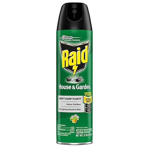 Raid House & Garden Bug Killer Aerosol Kills Bugs on Contact Won’t Harm Plants Indoor and Outdoor Use 11 Ounce (Pack of 1)