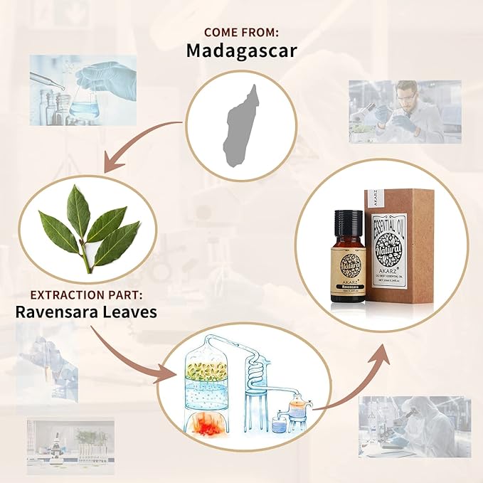 AKARZ Ravensara Essential Oil Natural Organic Pure Premium Therapeutic Ravensara Oil for Skin Body Hair Care,Diffuser, Candle,Soap,Making, DIY,Massage Aroma 0.34 Fl Oz (10ml)