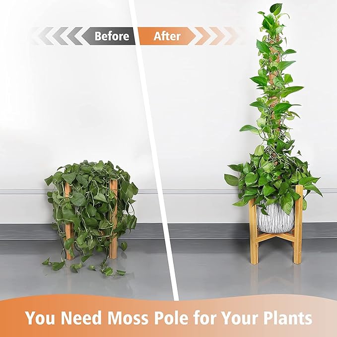【2 Pack】 JJGoo Moss Pole, 2 Coco Coir Totem Poles Extending to 29 Inches, Plant Support Stick for Indoor Plants Climbing Plants Monstera, Sphagnum, Pothos
