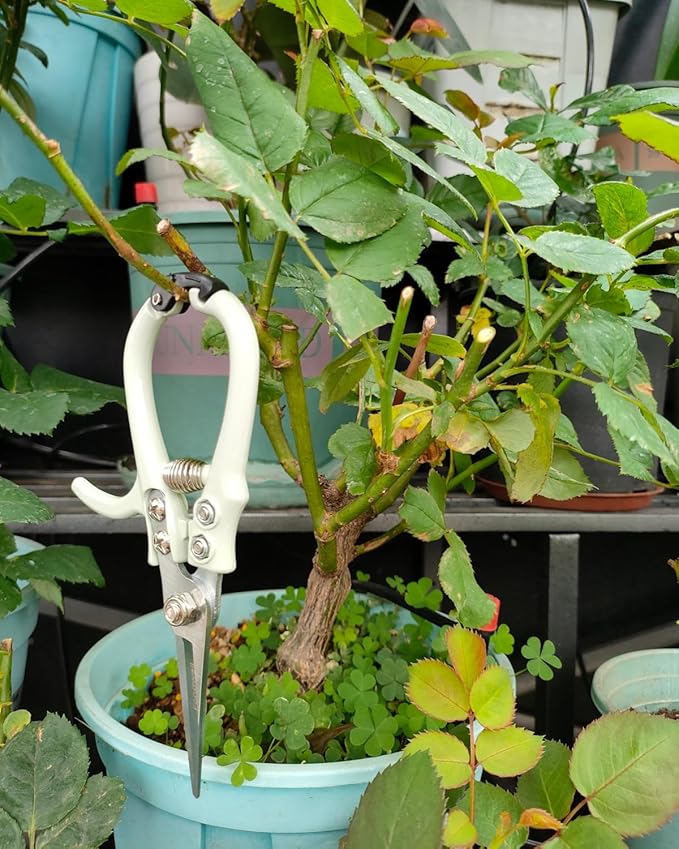 Fondwell 6" Pruning Shears Garden Scissors: Ultra Sharp Garden Clippers - Reliable Flower Snips for Trimming Small Plants