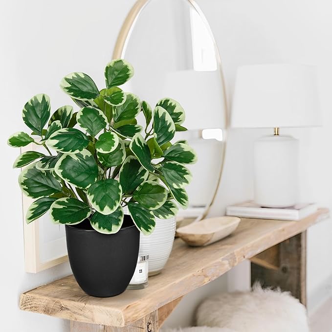 Villa Como 14.5" Artificial Plants Indoor Home Decor, Fake Potted Silk Plants for Shelves Living Room Decorative, Small Artificial Office Desk Plant in Pots, Faux Peperomia Hope Tropical House Plant