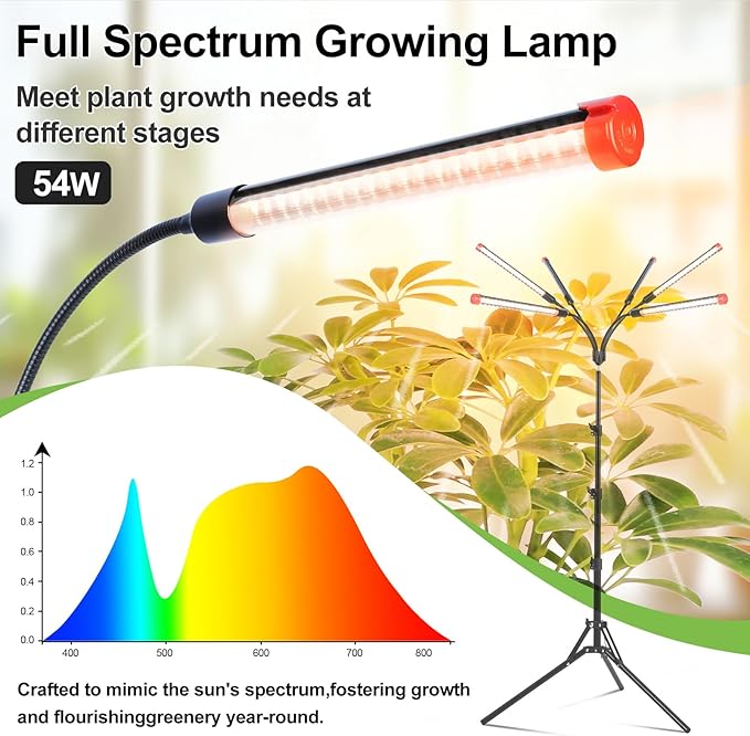 FRGROW 6Head Grow Light with Stand for Tall and Large Indoor Plants, Bonsai Tree, Big Coverage and Bright Plant Growing Lamps, 4/8/12/16/20H Timer, 54 Watt Power Draw, NO Need Adapter, 360° Gooseneck