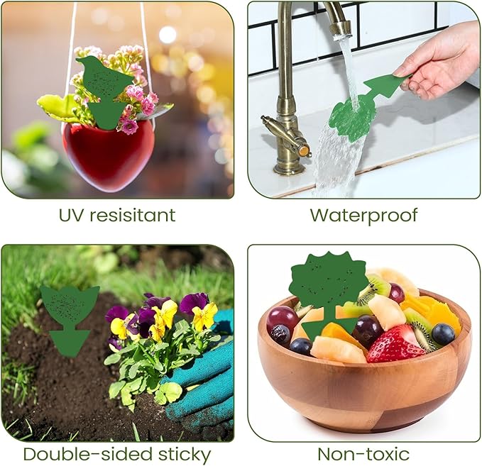 Qualirey 50 Sheets Fruit Fly Sticky Traps for Fruit Fly Gnat Trap for House Indoors Sticky Traps Catcher for Gnats Fungus Gnats Mosquito Catcher for Kitchen Outdoor Plants(Green)