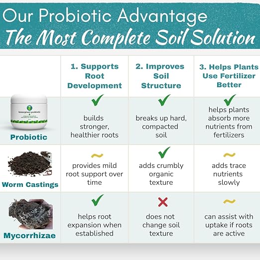 Houseplant Soil Conditioner & Probiotic – Organic Growth Booster (1-1-4) for Rejuvenating Tired Plants | Improves Soil Structure & Nutrient Availability for Stronger Roots & Fuller Leaves | 4 oz