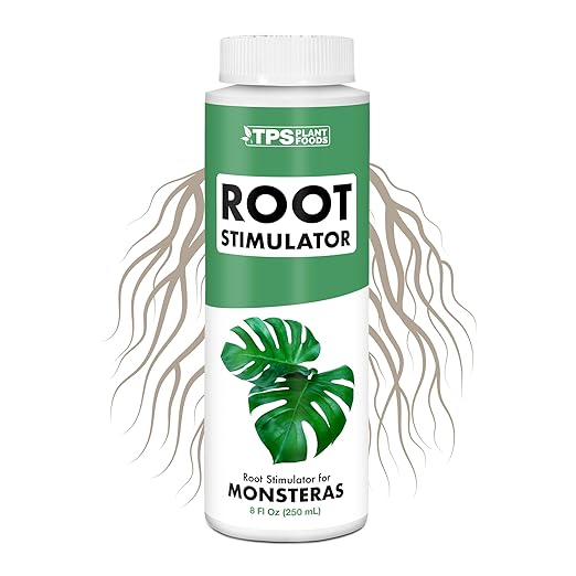 Root Stimulator for Monstera – Liquid Root Supplement with Kelp & Probiotics for Stronger Roots & Bigger Leaves, 8 oz
