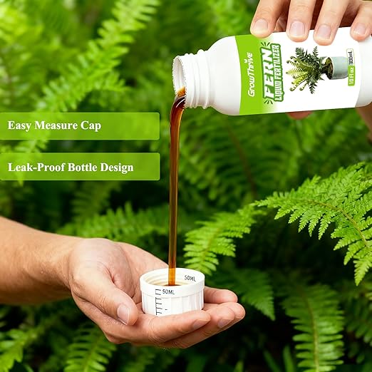 Fern Liquid Fertilizer – Natural Organic Plant Food for Ferns, Indoor & Outdoor Use, 10 Oz Concentrated Probiotic Formula for Greener Leaves, Strong Roots & Healthy Growth