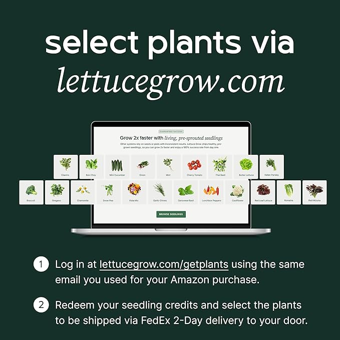 Lettuce Grow Counterstand Hydroponic Garden Kit – Indoor Herb & Lettuce Growing System, Small Countertop Planter, Decorative Vase Design for Kitchen & Home, No Grow Light