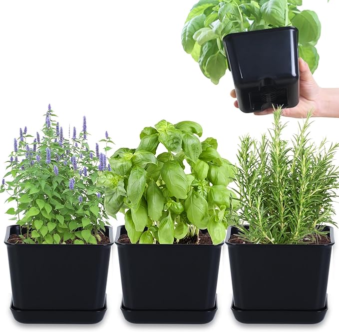 Oliz Herb Garden Planter Indoor Kit Pots for Indoor/Outdoor Plants 4 Packs Windowsill Plant Pots with Drainage and Tray, Window Pot for Indoor Plants (Black)