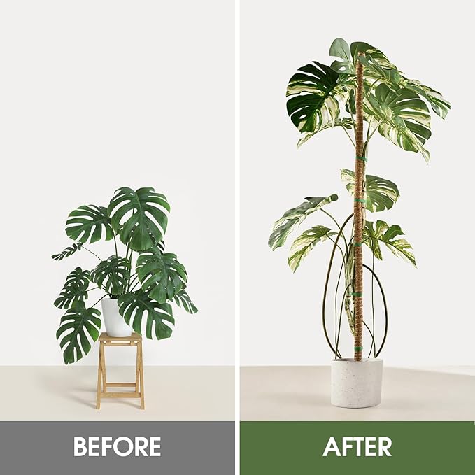 4 Pack Moss Pole, 28 Inch Bendable Moss Poles for Plants Monstera for Climbing Plants, Handmade Coco Coir Pole Plant Sticks Support Stakes for Indoor Plants Plant Grow