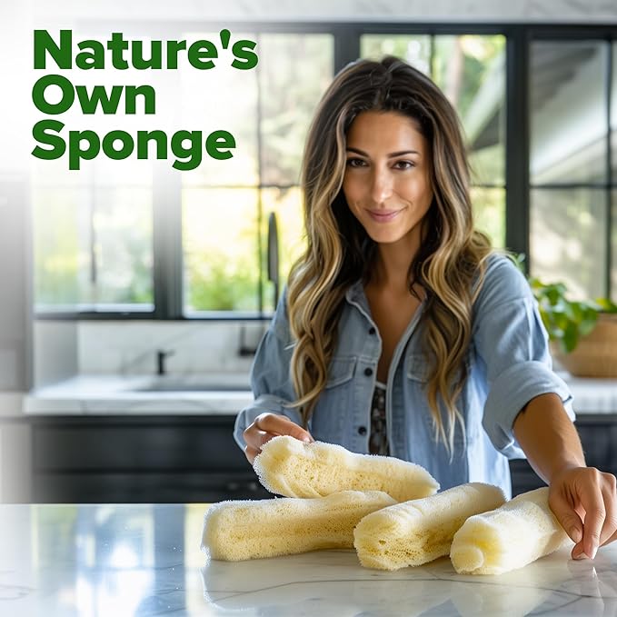 HOME GROWN Luffa Seeds 40 Heirloom Non-GMO Loofah Gourd Seeds for Planting, High Germination, Grow Your Own Natural Bath Sponges, Edible Vining Vegetable Garden, Harvest Young Gourd (Luffa aegyptiaca)