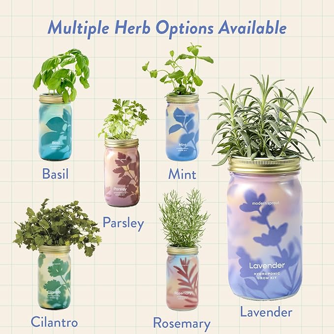 Modern Sprout Mason Garden Jar - Self-Watering Hydroponics Growing System Kit with Organic Herb Seeds - Jar Planter for Indoor Herb Garden - Seed Starter Kit - Home Decor & Gifting - Lavender