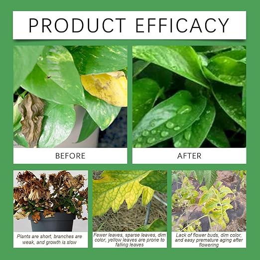 Plant Food for Houseplants - Indoor Plant Fertilizer, Growth Tonic | 120ml Natural Liquid Formula for Greenery Roots Hydroponic Garden Soil Booster Leaf Shine Care Herb Shrubs Blossom Support