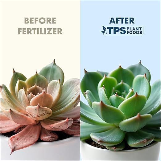Succulent Plant Food – Liquid Fertilizer for Compact Growth, Vibrant Color & Stronger Root Development, 8 oz