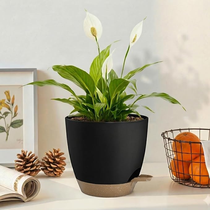 Plant Pots 8/7.5/7/6.5/6 Inch Self Watering Pots,5 Pack Planters with Drainage Holes and Saucers,Plastic Flower Pots,Nursery Planters for Indoor Outdoor Plants (Black)