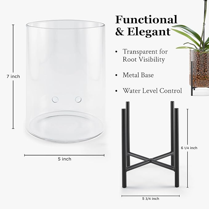 Pot & Pebble - C8 Glass Planter with Decorative Metal Base - Plant Propagation Station with Water Level Control - Plant Cutting Holder for LECA Clay Pebbles/Similar Media - Semi Hydroponic Planter