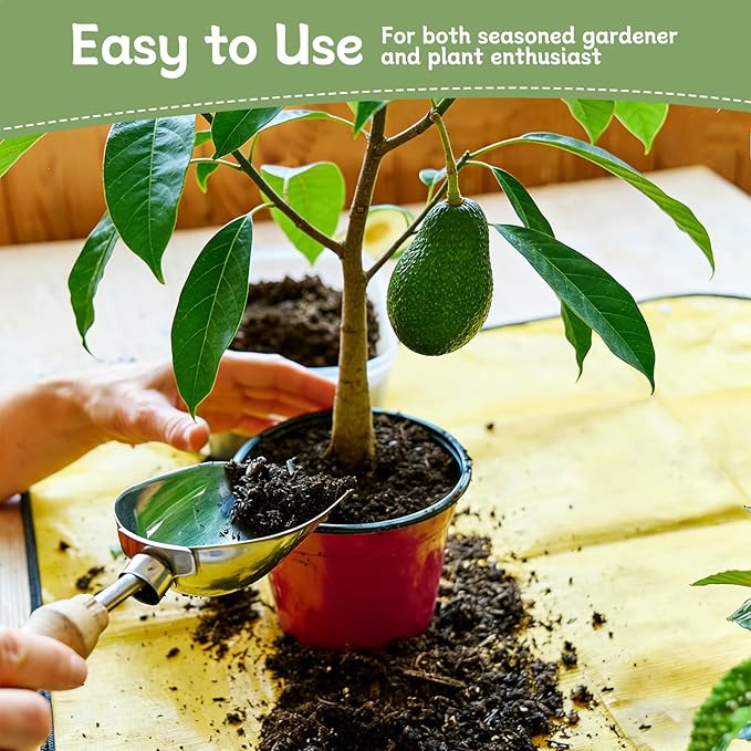 Avocado Soil 10qt, 100% Natural Organic Potting Soil for All-Stage Avocado Tree Growth