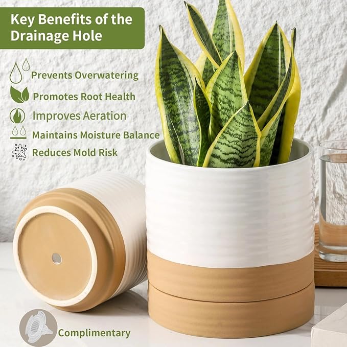 HASENSE 6 Inch Indoor Plant Pot, Ceramic Flower Planter with Drainage Hole and Saucer, Modern Pots for Plant with Two-Tone Design, Perfect for Wedding Birthday Gift, White-Brown