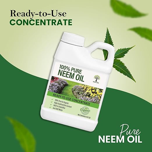 Nature’s Will Pure Ready-to-Use Neem Oil Concentrate | High Azadirachta Content | Just Add Water | Natural Plant Care (8 oz)
