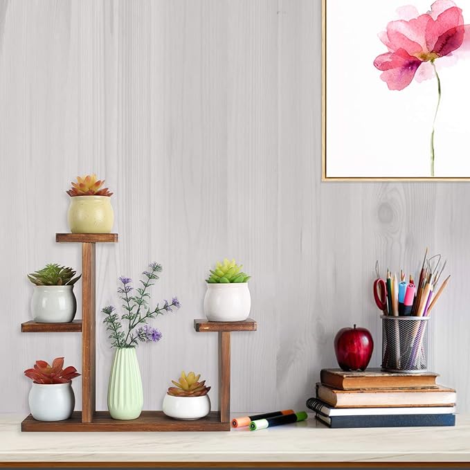 Wood Desktop Plant Stand Indoor Small Windowsill Flower Shelf Tabletop Plant Shelf Holder Display Rack for Succulent Herb in Living Room Office