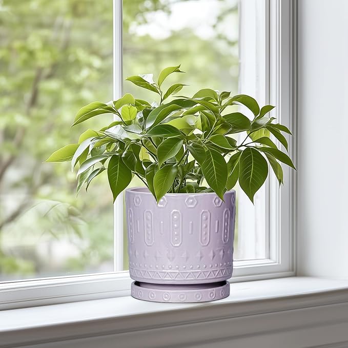 Eightpot Ceramic Pots for Plants, 6 Inch Plant Pot for Indoor Outdoor Plants, Round Planter with Drainage Holes and Saucer, Boho Decorative Flower Pots, Apartment Decor, Plant Lover Gifts, Purple