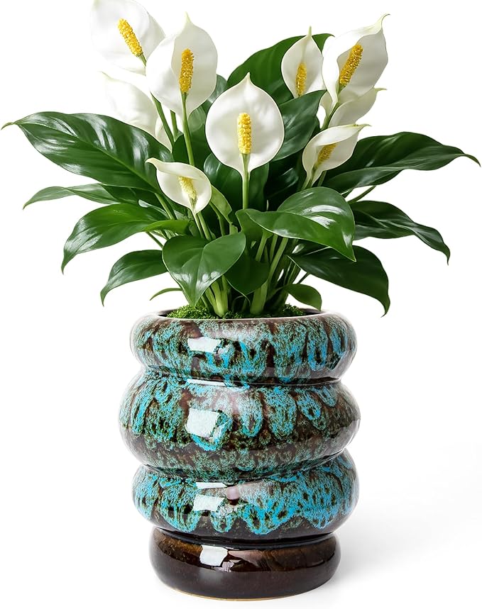 Ceramic 5 inch Plant Pot - Planter for Indoor Plants with Drainage Hole, Flower Pots for Orchid, Succulent,Outdoor Plants, Modern Glaze Planters for Home Office Decor Gift