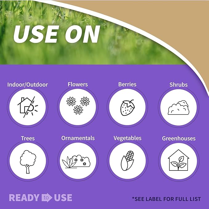 Bonide Insecticidal Soap, 32 oz Ready-to-Use Spray Multi-Purpose Insect Control for Organic Gardening Indoor and Outdoor- Pack of 2