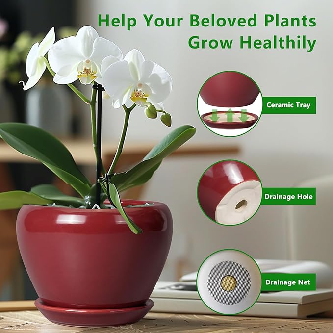 Ceramicfor Ceramic Planter - 8 Inch Plant Pot Indoor with Drainage Hole and Saucer Planter for Outdoor Plants Round Flower Pot for House Patio Decor Red