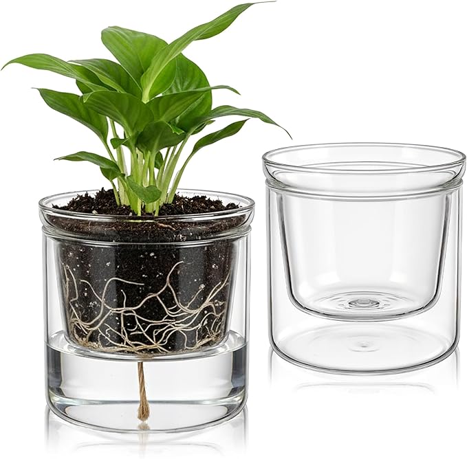 Tebery 2 Pcs Clear Plant Pots, 3.75 Inch Glass Nursery Pots with Drainage Saucer, Indoor Self Watering Planters for Houseplants African Violet Orchid Succulents, Ideal for Garden Home Decor