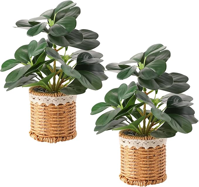 Nubry 2 Pack Fake Plants Artificial Potted Plants with Weaved Pot for Shelf & Table Desk | Perfect for Home Office Bathroom Farmhouse Room Coffee Table Decor 10‘’