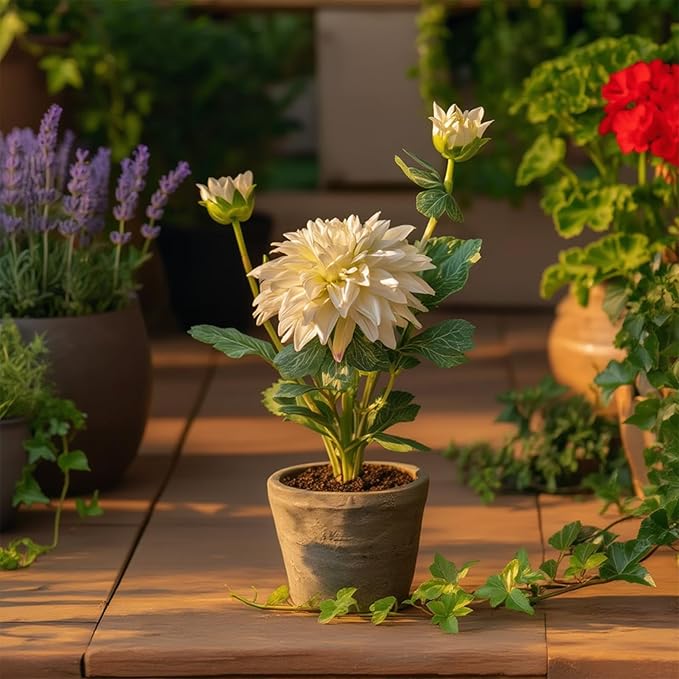 White Dahlia Flowers Fake Silk Mums Flower Artificial Chrysanthemum Flowers Faux Flowers for Vase Mums in Pot Spring Decor Coffee Table Home Party Decoration