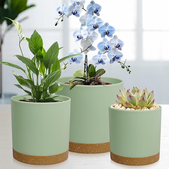 WSMKSZ 3 Pack 6/5/4 inch Cylindrical Flower Pots, Modern Small Round Plastic Plant Pots with Drainage Holes & Saucers, Clean and Refined Planter Pots for Outdoor, Indoor & Office Decor (Green Brown)