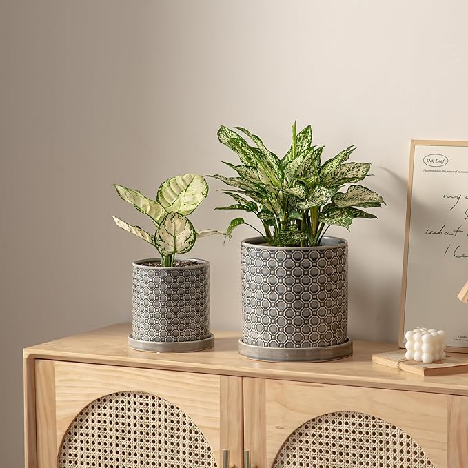 8 Inch Plant Pot: Ceramic Planter with Drainage Hole & Saucer Indoor Outdoor Plants - Cylinder Round Flower Pot for Home Office - Modern Decorative - Medium Grey