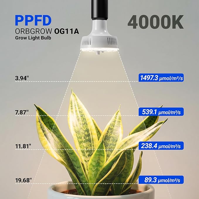Barrina Orbgrow OG11A Grow Light Bulbs for Indoor Plants, Integrated Dimming & Timing, 4000K 11W(100 Watt Equiv), E26 Plant Light Bulb, Full Spectrum, High PPFD for Seeds and Greens, 1 Pack, White