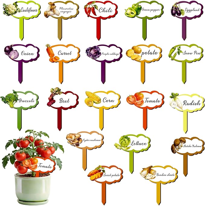 Konsait 20 Pack Wooden Vegetable Plant Labels for Outdoor Garden Waterproof Plant Name Stakes for Seed Labels Vegetable Garden Supplies,20 Styles