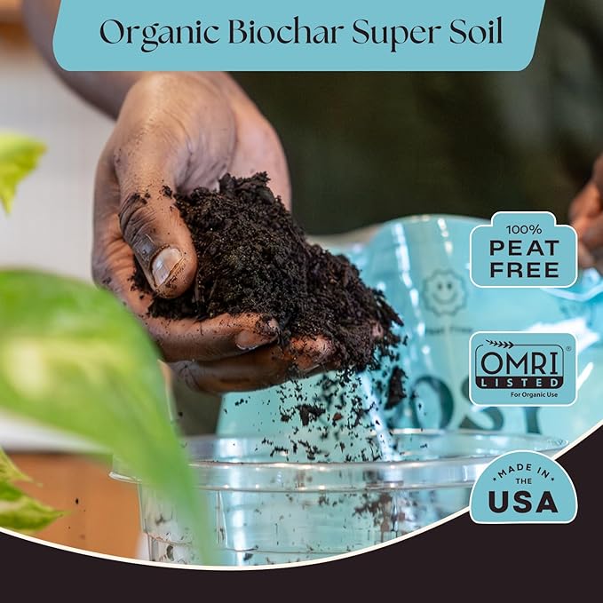 Rosy Soil Indoor Potting Soil for House Plants - Organic Potting Soil Mix for Indoor Plants - Enriched w/Root-Boosting Biochar for Foliage Plants, Flowers, Herbs - Peat Free, Less Prone to Gnats - 4qt
