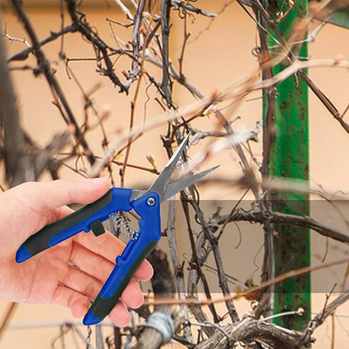 15 Pack 6.5 Inch Garden Pruning Scissors, Hand Pruner with Stainless Steel Blades, Sharp Point Gardening Shears Cutter, Gardening Pruning Shear, Supplies & Accessories(Blue)